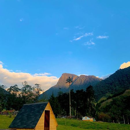 Refugio Nidos Del Condor Cocora 萨兰托 外观 照片
