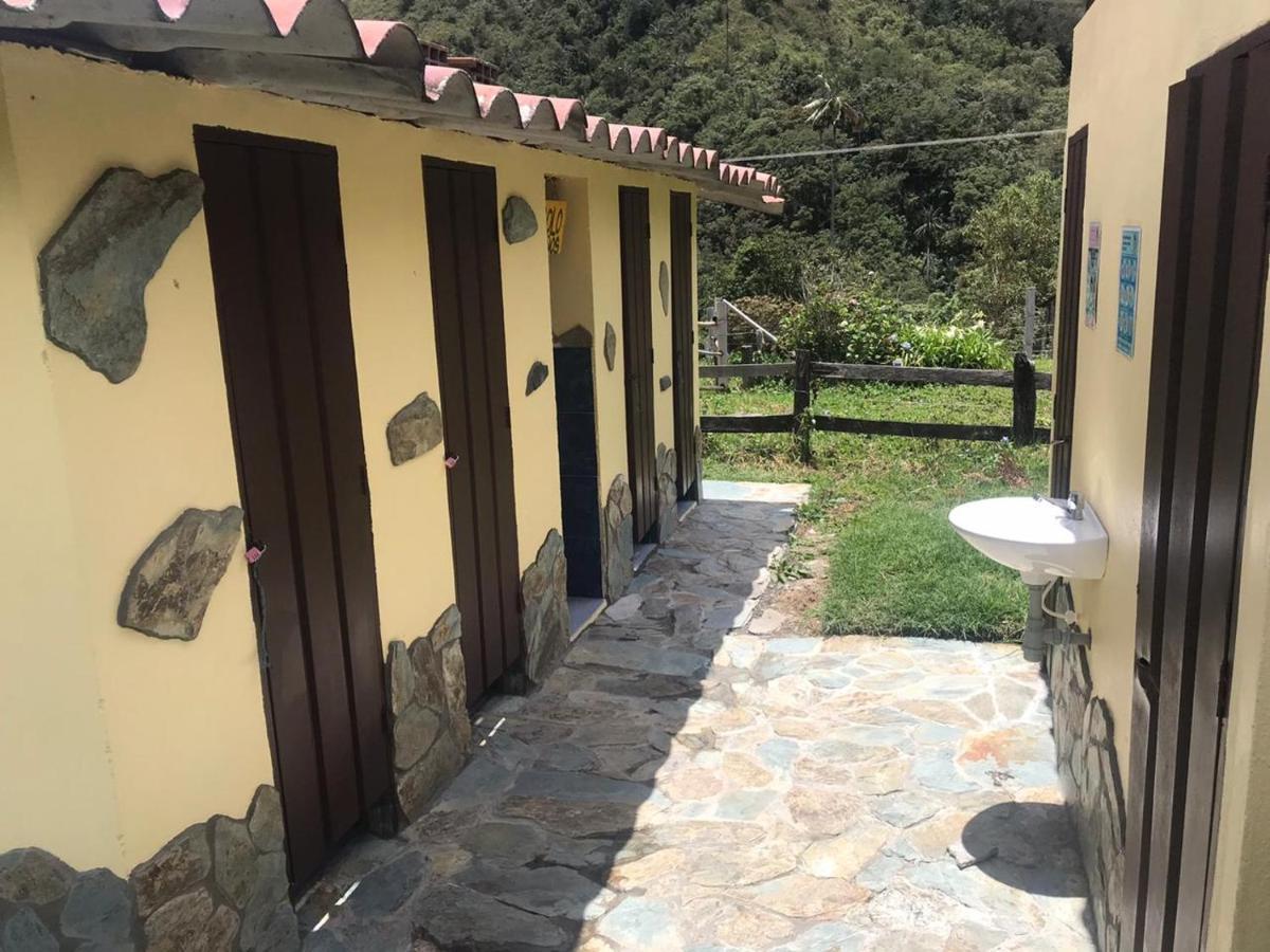 Refugio Nidos Del Condor Cocora 萨兰托 外观 照片