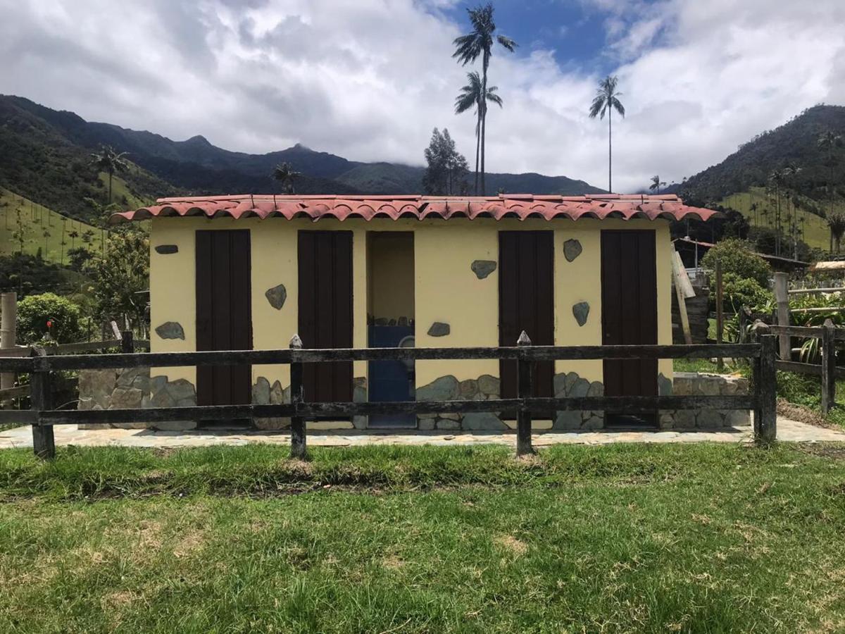 Refugio Nidos Del Condor Cocora 萨兰托 外观 照片