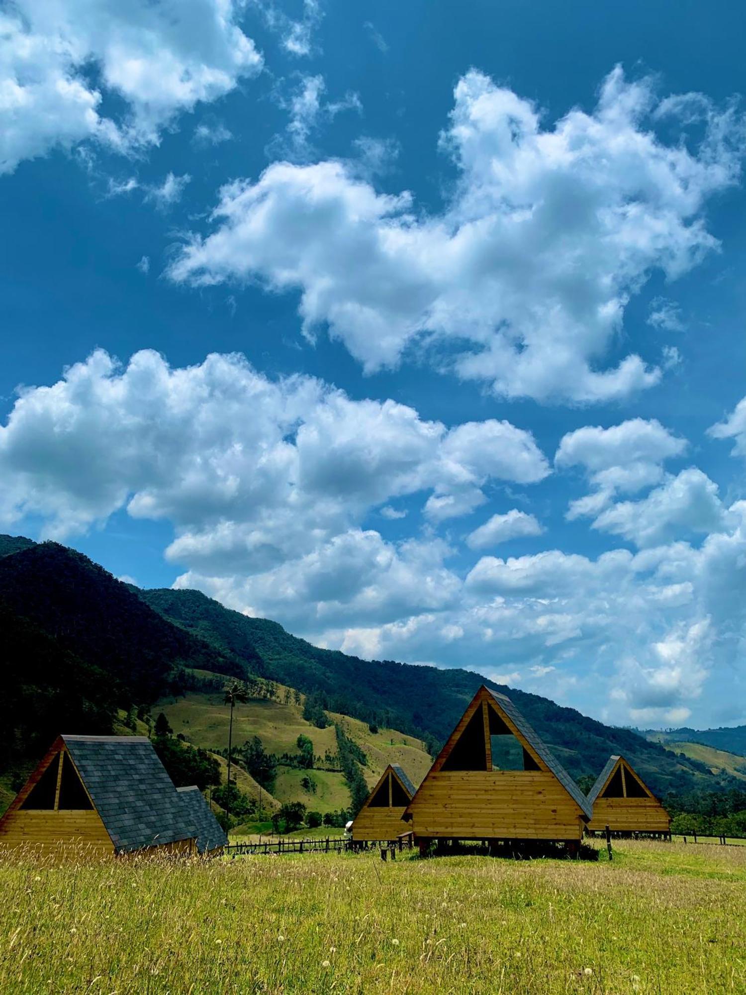 Refugio Nidos Del Condor Cocora 萨兰托 外观 照片