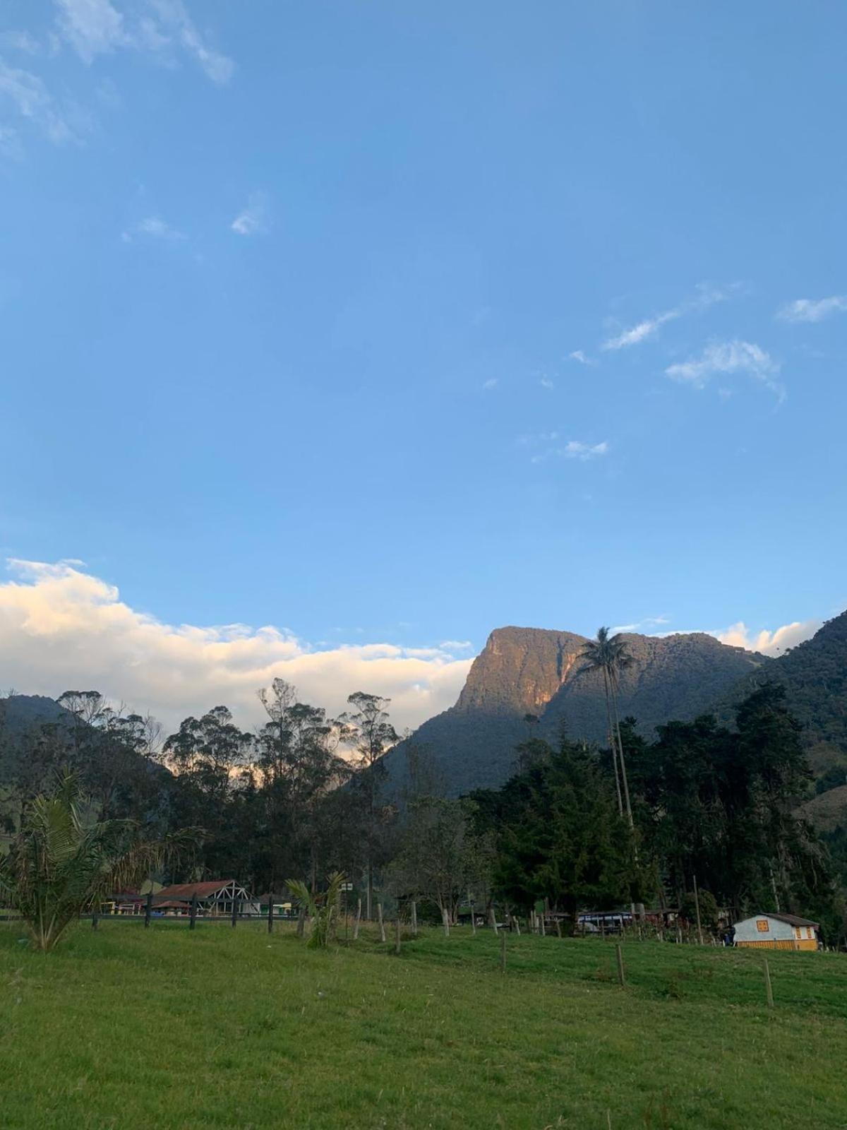 Refugio Nidos Del Condor Cocora 萨兰托 外观 照片