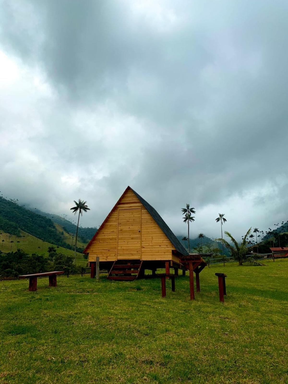 Refugio Nidos Del Condor Cocora 萨兰托 外观 照片