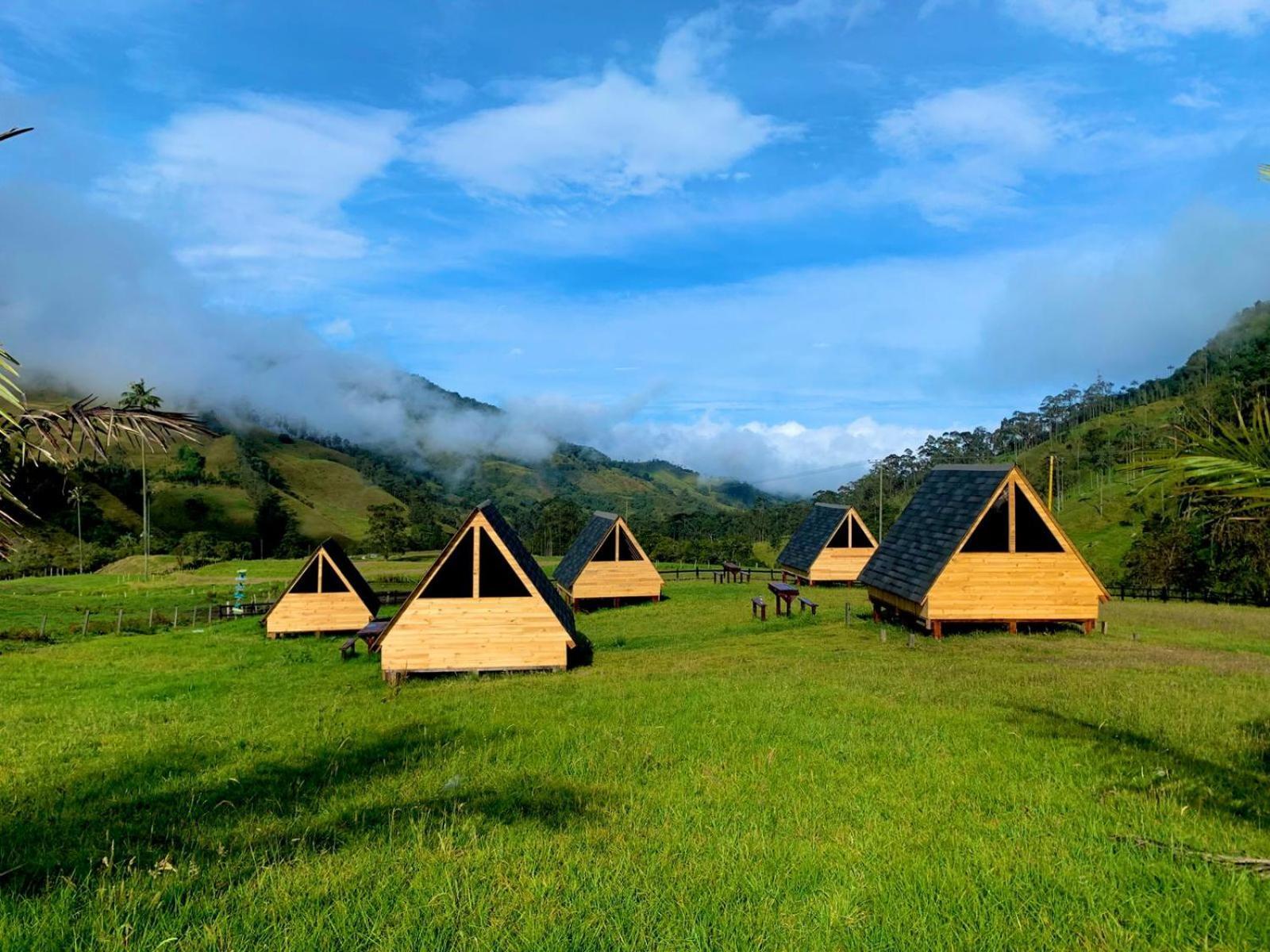 Refugio Nidos Del Condor Cocora 萨兰托 外观 照片