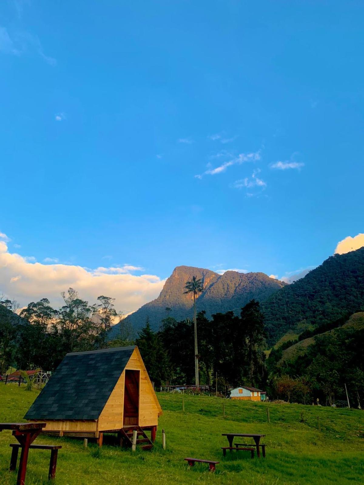 Refugio Nidos Del Condor Cocora 萨兰托 外观 照片