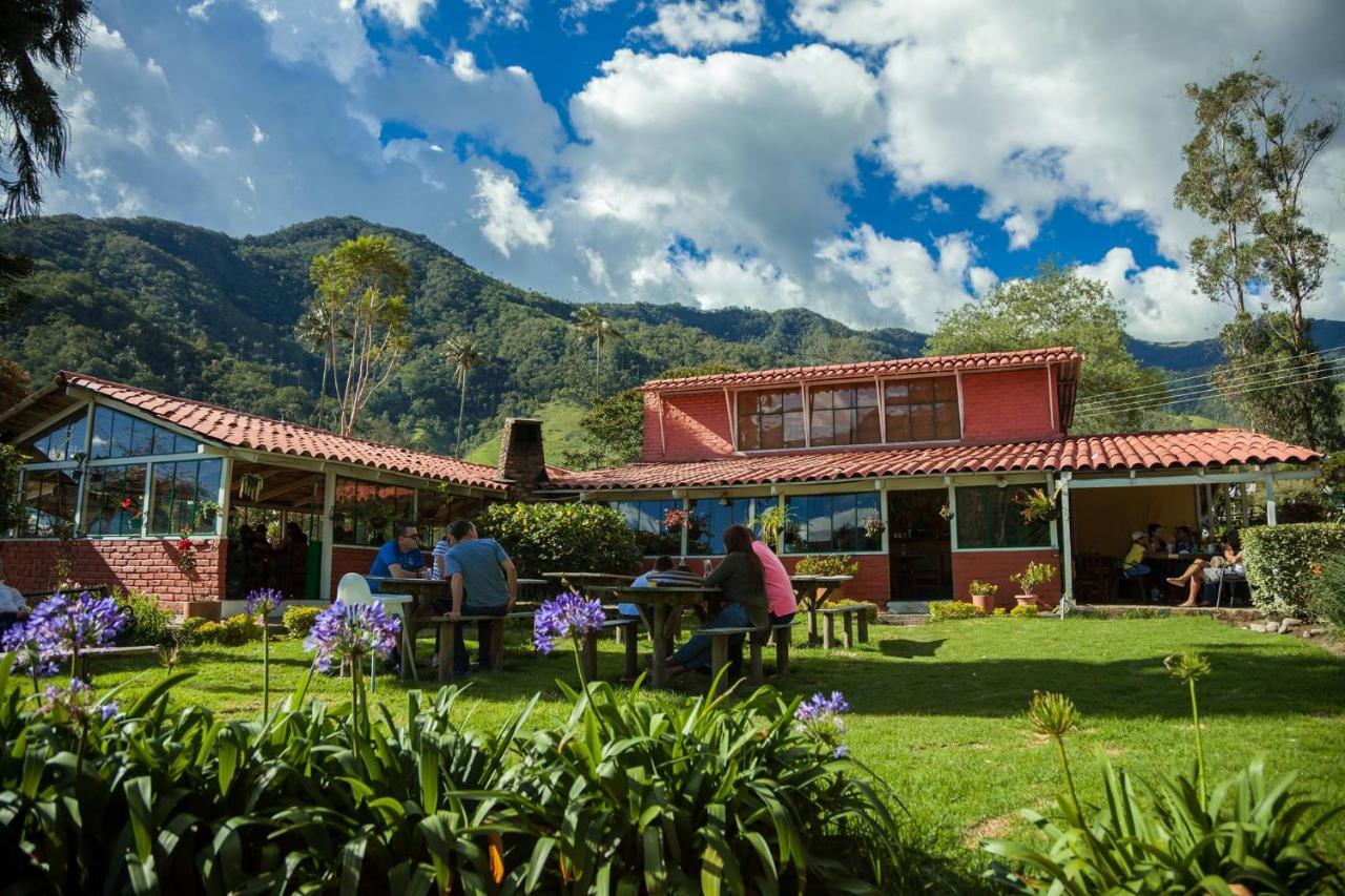 Refugio Nidos Del Condor Cocora 萨兰托 外观 照片