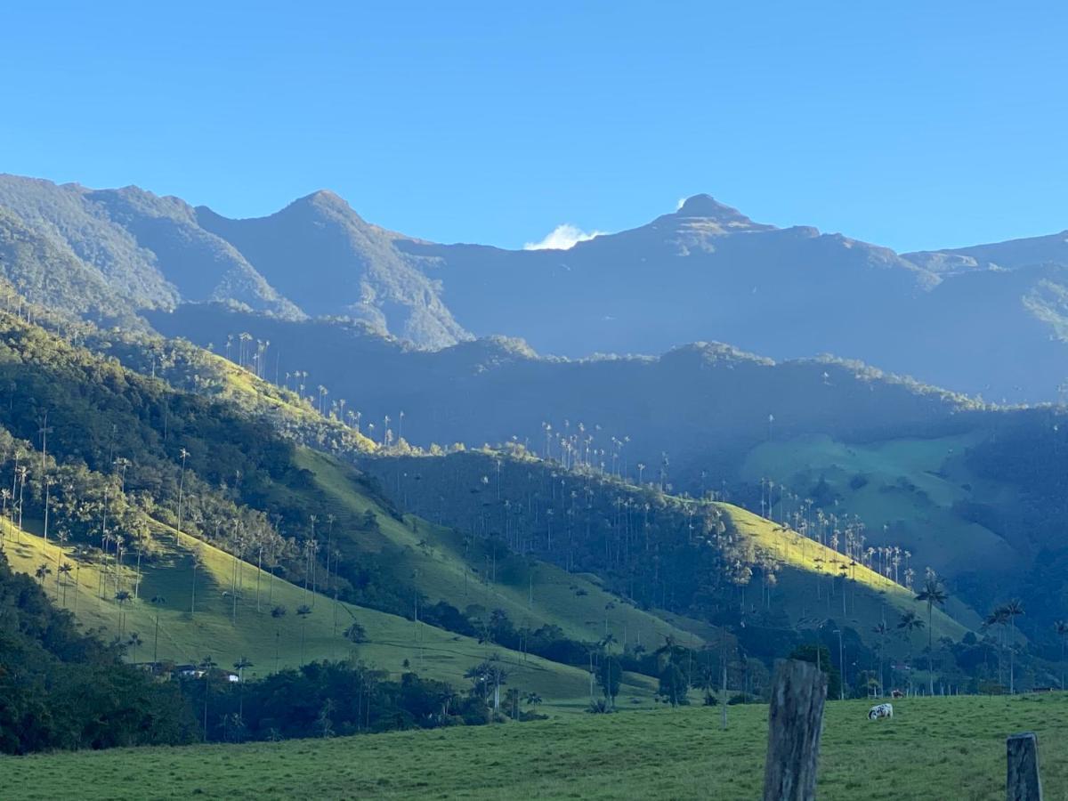 Refugio Nidos Del Condor Cocora 萨兰托 外观 照片